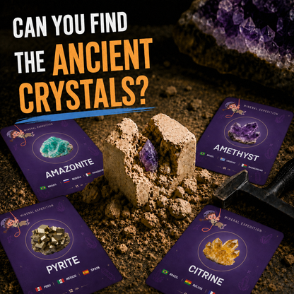 Mineral Expedition - Educational and Entertainment Set